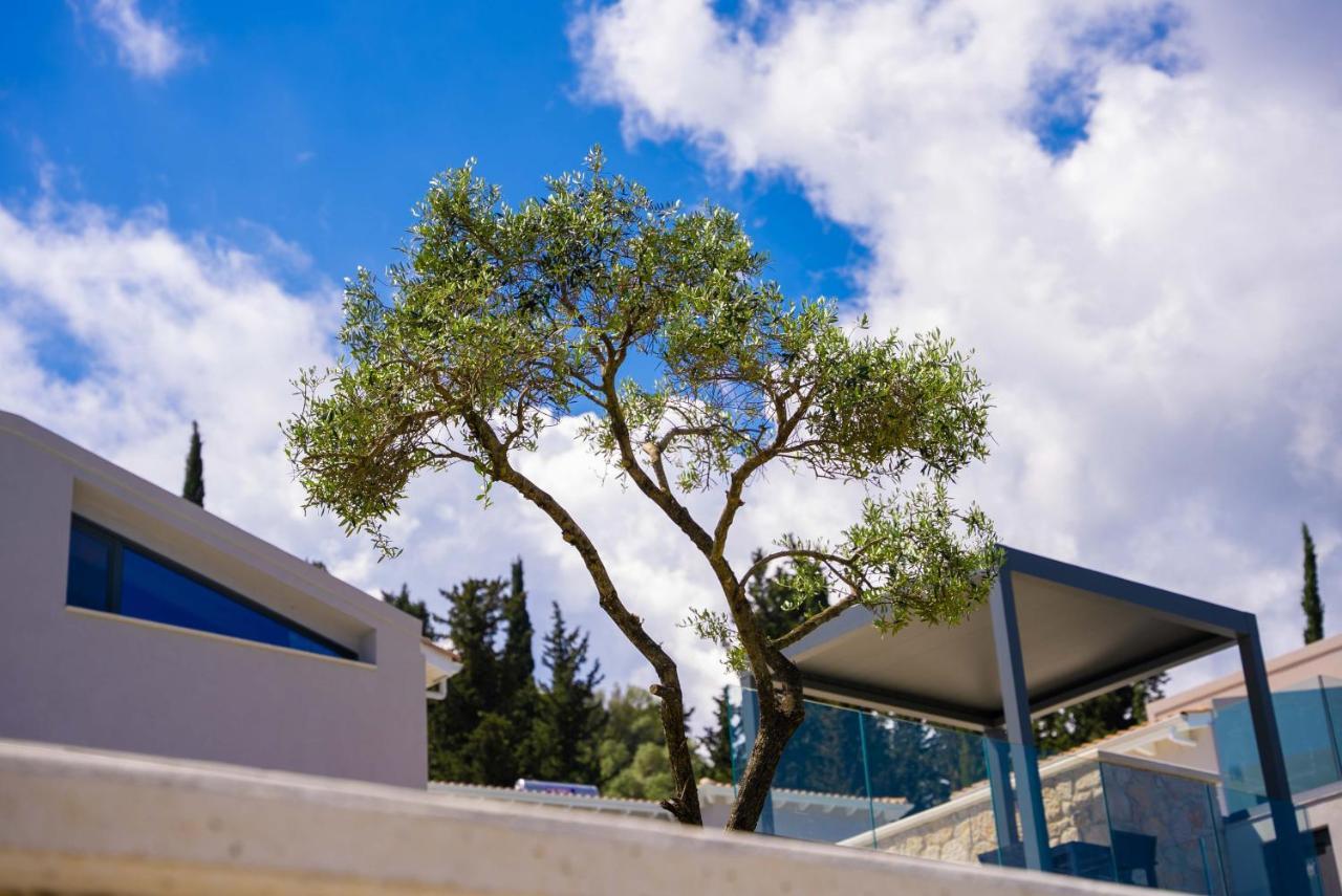Dama Olga Villas Lygia  Exteriér fotografie